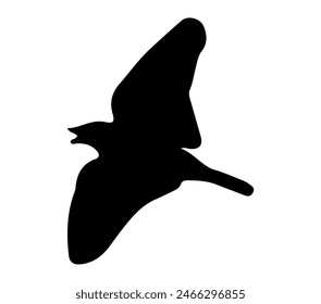 Gráfico de Vector de Pipit de Rock africano.