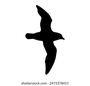 Vector gráfico de Petrel Antártico.