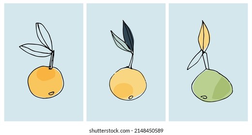 Vector graphic with apple, tangerine, orange. Decor printable art. Contemporary design for prints, posters, stationery, logos, branding, invitations social media posts
