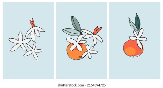 Vector graphic with apple, tangerine, orange. Decor printable art. Contemporary design for prints, posters, stationery, logos, branding, invitations social media posts