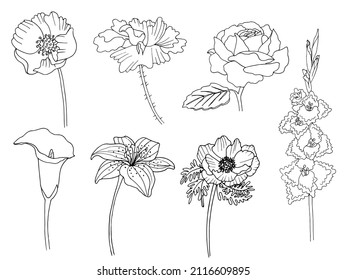 vector graphic art icons flowers large set