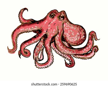 Vector graphic, artistic, stylized image of octopus. Sketch, pencil drawing, can be used for printing. original print