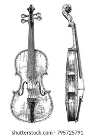 Vector graphic arts sketch of drawing violin (black pen).