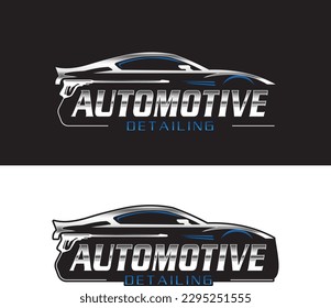 vector graphic for auto detailing servis business logo design