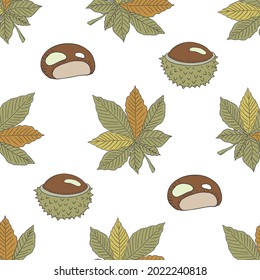 Vector graphic autumn seamless pattern with chestnuts on a white background