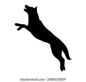 Vector gráfico de Malinois belga.