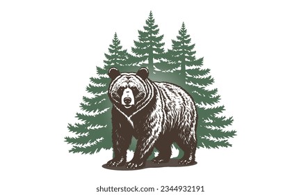 Vector graphic big strong brown bear standing on four paws against the background of a green coniferous forest. Wild animal. White isolated background.