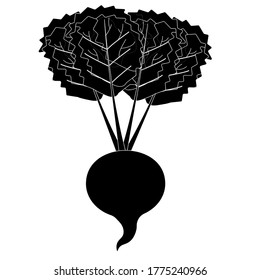 Vector graphic of a black monochrome radish. Illustration for icons, logo, designs, banners.