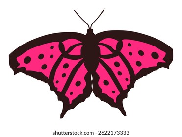Vector graphic of black-pink butterfly ilustration