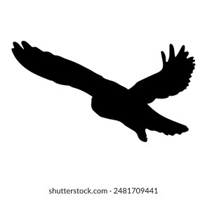 Vektorgrafik-Grafik von Black-Winged Kite.