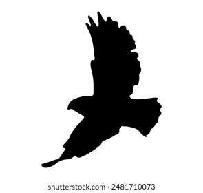Vector graphic of Black-winged Kite.