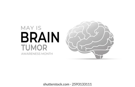Vector graphic of Brain Tumor Awareness Month is observed every year in May to raise awareness about brain tumors. Gray ribbons with Realistic ribbon. Design for web banner, cards, prints, social.