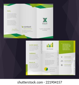 Vector graphic business brochure template with infographic diagrams and abstract background