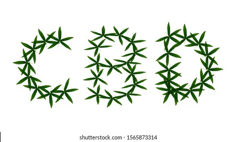 Vector graphic of Cannabis flowers creating CBD text. Medical use for cbd oil. Psychotropic cannabis.
