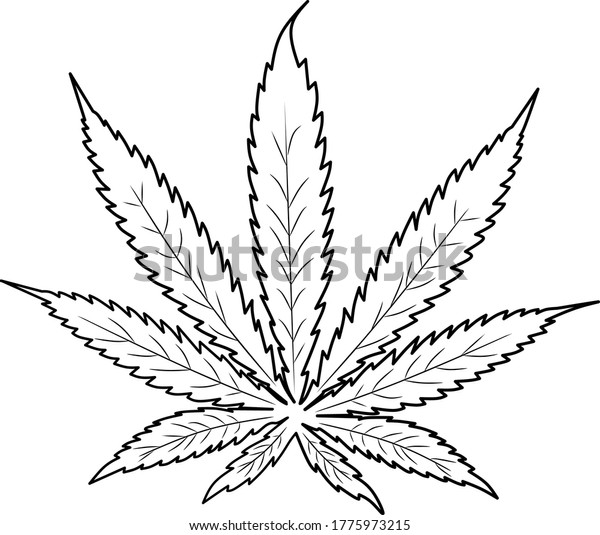 Vector Graphic Cannabis Line Art White Stock Vector (Royalty Free ...