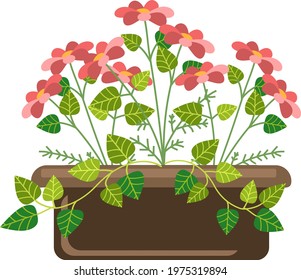 vector graphic, cartoon style, flower clay pot, home flowers with leaves on windowsill, plant, utensils, home comfort, climbing plants, nature, spring, for presentation, postcard, illustration, album 