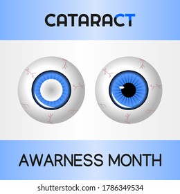 vector graphic of cataract awareness month good for cataract awareness month celebration. flat design. flyer design.flat illustration. awareness. eye.