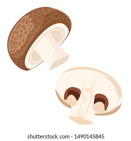 vector graphic champignon mushroom isolated on white background