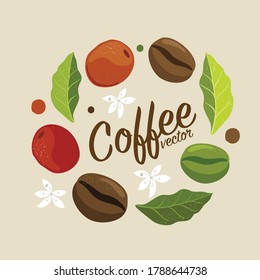 Vector graphic coffee tree plantation, branch, leaf, bean.