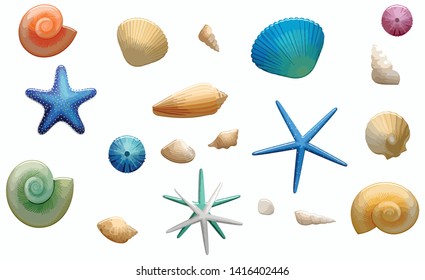 
Vector graphic collection of sea bottom starfish shells