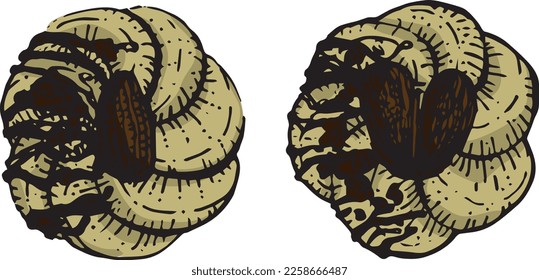 Imagen de color gráfico vectorial con galletas con almendras y chocolate. bocetos de San Valentín. Colección para embalajes de diseño festivo, textiles, scrapbooking
