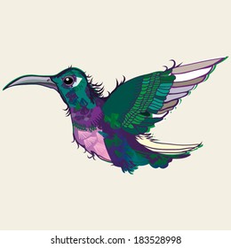 Vector graphic colorful illustration with Kolibri.