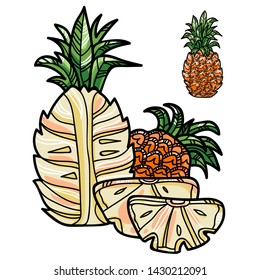 Vector graphic colorful pineapple set for food package and menu