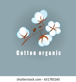 Vector graphic of cotton organic on a dark background