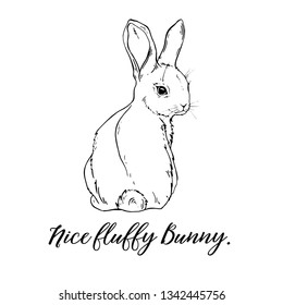 Vector Graphic of a Cute fluffy Bunny. Rabbit,