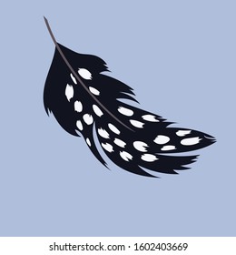 vector graphic depicting a cuckoo feather