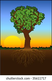 Vector graphic depicting a heart-shape tree and roots at sunset