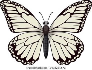 Vector graphic of a detailed monarch butterfly