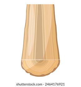 Vector graphic of a detailed tree log cross section on a white background