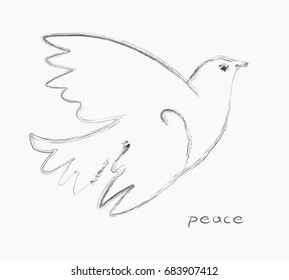 Vector graphic dove bird of peace on white background