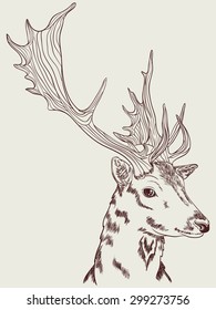 Vector graphic drawing of a doe's head turned in profile