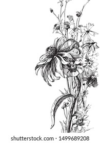 Vector graphic drawing: Flowers drawn with ink pen.