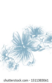 Vector graphic drawing: Flowers drawn with ink pen.