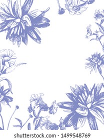 Vector graphic drawing of wild flowers, card with space for text.