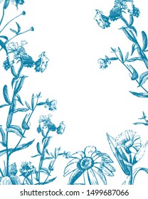 Vector graphic drawing of wild flowers, card with space for text.