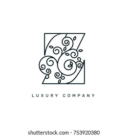 Vector graphic elegant logotype / Letter Z