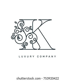 Vector graphic elegant logotype / Letter K