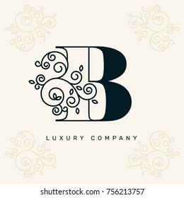 Vector graphic elegant logotype / Letter B