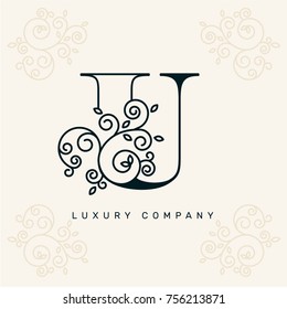 Vector graphic elegant logotype / Letter U