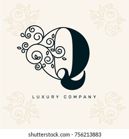 Vector graphic elegant logotype / Letter Q