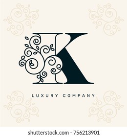 Vector graphic elegant logotype / Letter K