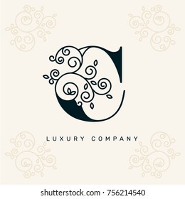 Vektorgrafik-eleganter Logotyp / Buchstabe C