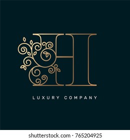 Vector graphic elegant logotype / Letter H