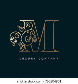 Vector graphic elegant logotype / Letter M