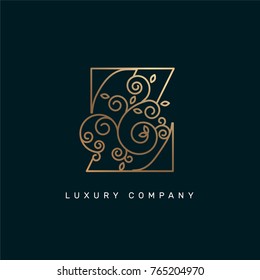 Vector graphic elegant logotype / Letter Z