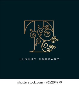 Vector graphic elegant logotype / Letter T